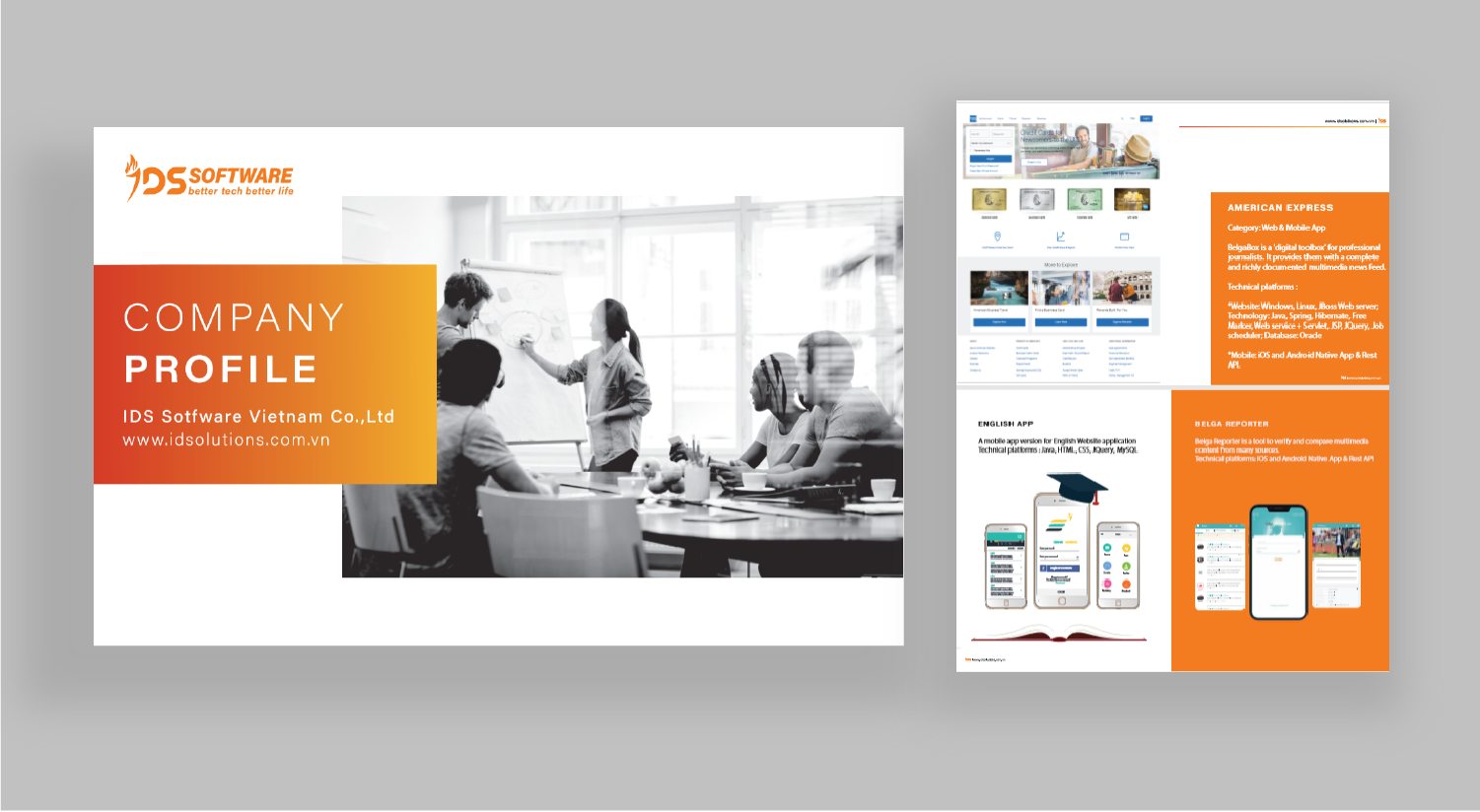 IDS Software's company profile for download
